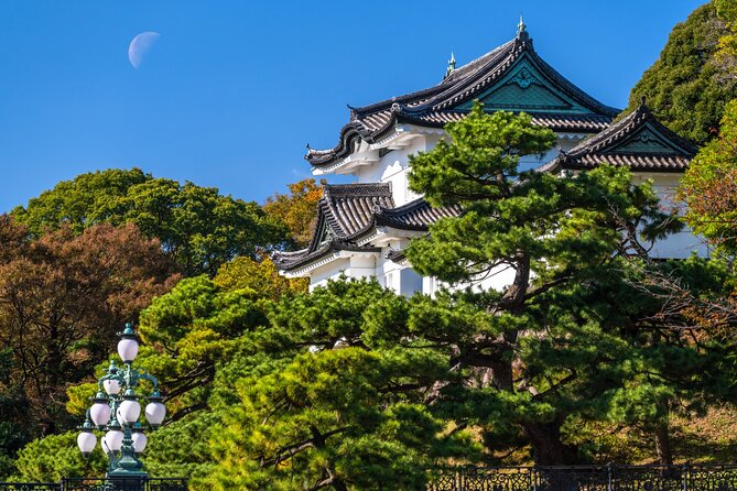 Tokyo Private Tour! Edo Castle & Imperial Palace East Gardens - Key points to know before you book