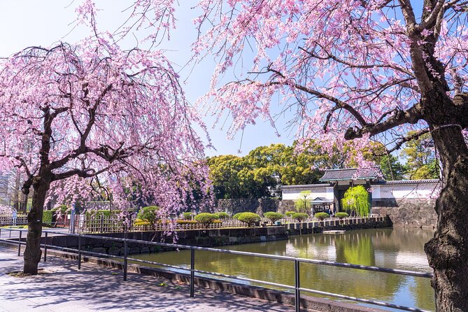 Tokyo Private Tour! Edo Castle & Imperial Palace East Gardens - Ote-mon Gate and the first sense of Edo
