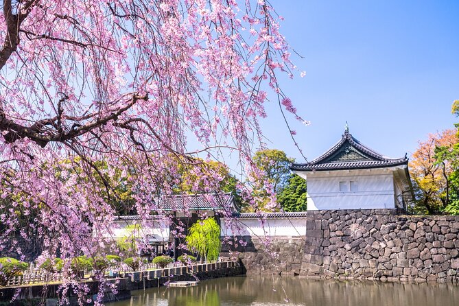 Tokyo Private Tour! Edo Castle & Imperial Palace East Gardens - Imperial family context without palace interiors