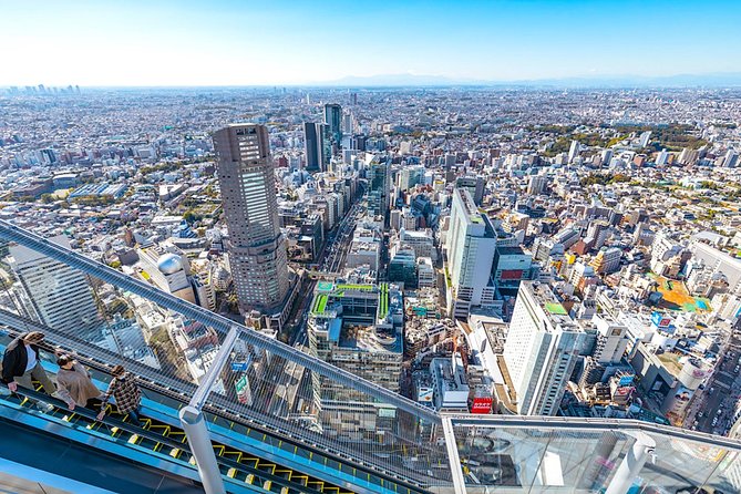 Tokyo Private Tour: One Day Highlights and Optional Shibuya Sky - Key points at a glance