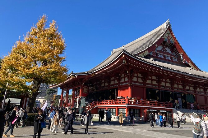 Tokyo Private Tour: One Day Highlights and Optional Shibuya Sky - Takeshita Street finishes with fashion and noise