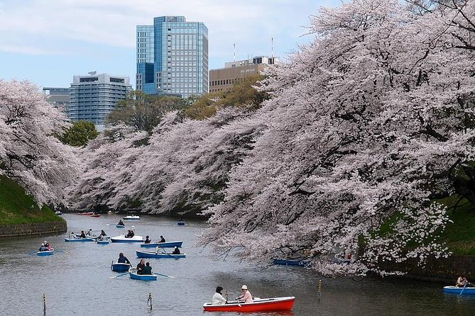 Tokyo: Private Walking Tour with a Local - Meeting your Lokafyer near central Tokyo