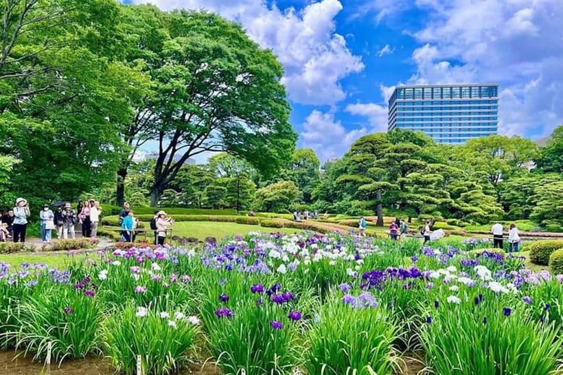 Tokyo: Pvt. Tour - Edo Castle & Imperial Palace East Gardens - How the guides shape the experience