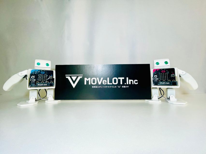 Tokyo: Robot Piloting Attraction Ticket - Who will enjoy this most?