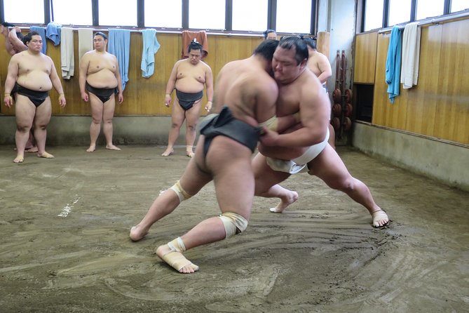 Tokyo Ryogoku Sumo Morning Practice + Photo Shoot with Wrestlers - Key points to know before you book