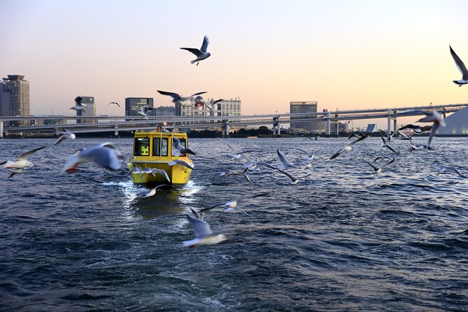 Tokyo: Scenic Bay Cruise with Local Guide on Private Boat - Seagulls, breezes, and what to bring