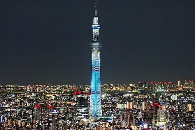 Tokyo Sightseeing/ City Tour by Private Car with English Guide - Key points to know before booking