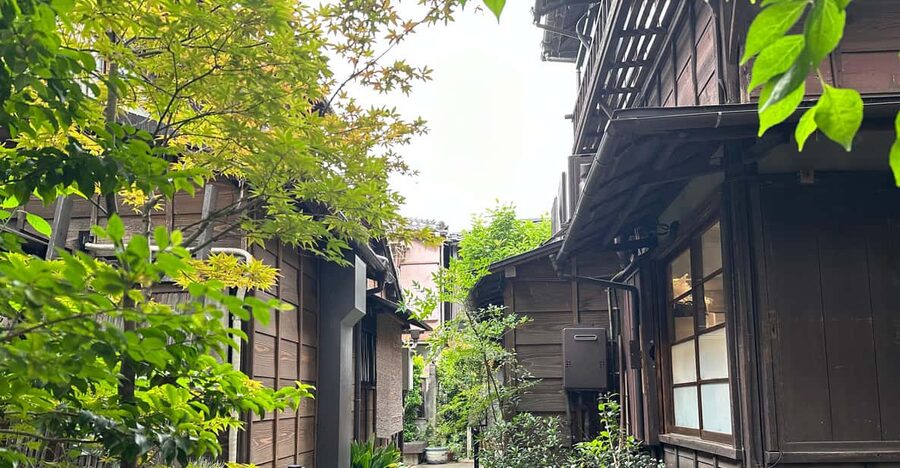 Tokyo:Stroll in Old traditional culture towns~Yanaka & Nezu - Nezu Shrine and the meaning behind the gates