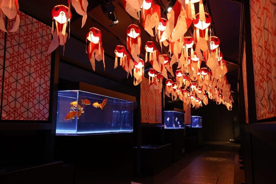 Tokyo: Sumida Aquarium Entry Ticket - Practical rules that can affect your visit