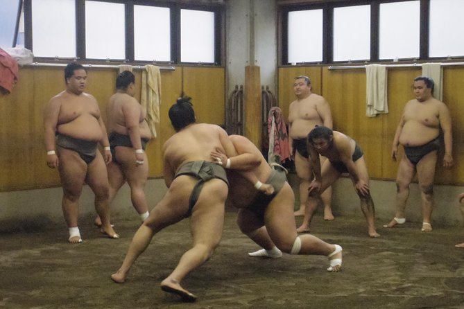 Tokyo Sumo Morning Practice Tour at Stable - Why a practice stable can beat a tournament