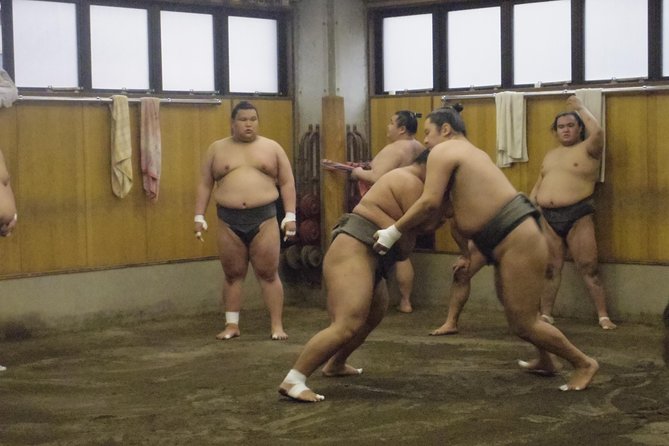 Tokyo Sumo Morning Practice Tour at Stable - Headsets help, but they are not perfect