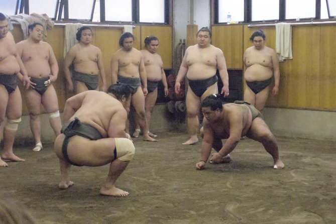 Tokyo Sumo Morning Practice Tour at Stable - Photos and the brief ending