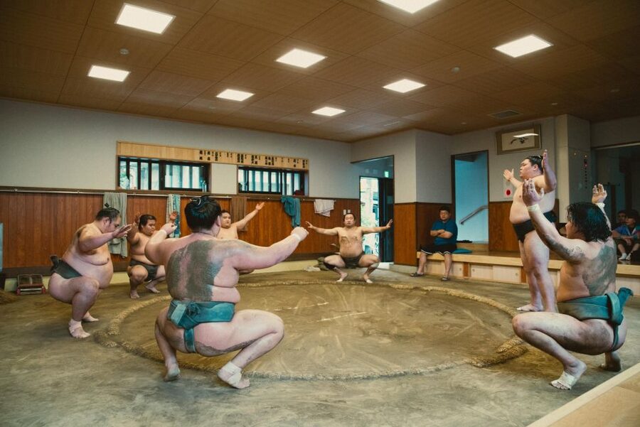 Tokyo: Sumo Morning Practice Tour at Sumida City - Practical advice for a smoother visit