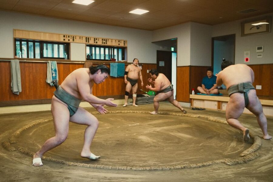 Tokyo: Sumo Morning Practice Tour at Sumida City - What $116 buys you