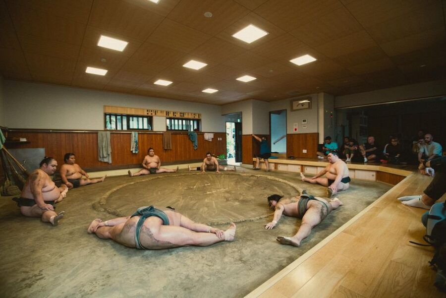 Tokyo: Sumo Morning Practice Tour at Sumida City - Who will enjoy this most