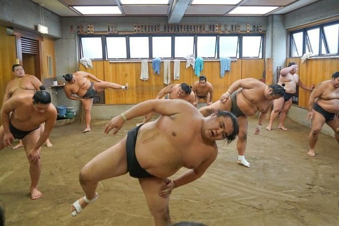 Tokyo Sumo Morning Practice Tour w/ Ring-Side Seat + Photo Shoot - What the Guide Adds to the Morning