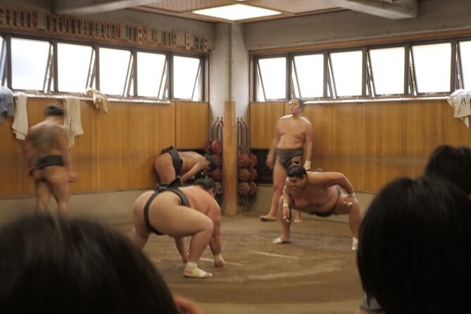 Tokyo Sumo Morning Practice Tour w/ Ring-Side Seat + Photo Shoot - Inside the Stable: Quiet, Close, and Serious
