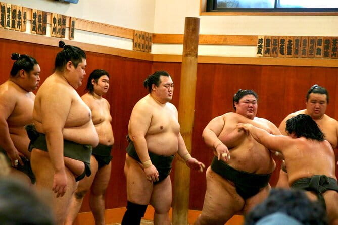 Tokyo Sumo Morning Practice: Viewing & Exclusive Interaction - Walking into an active sumo stable