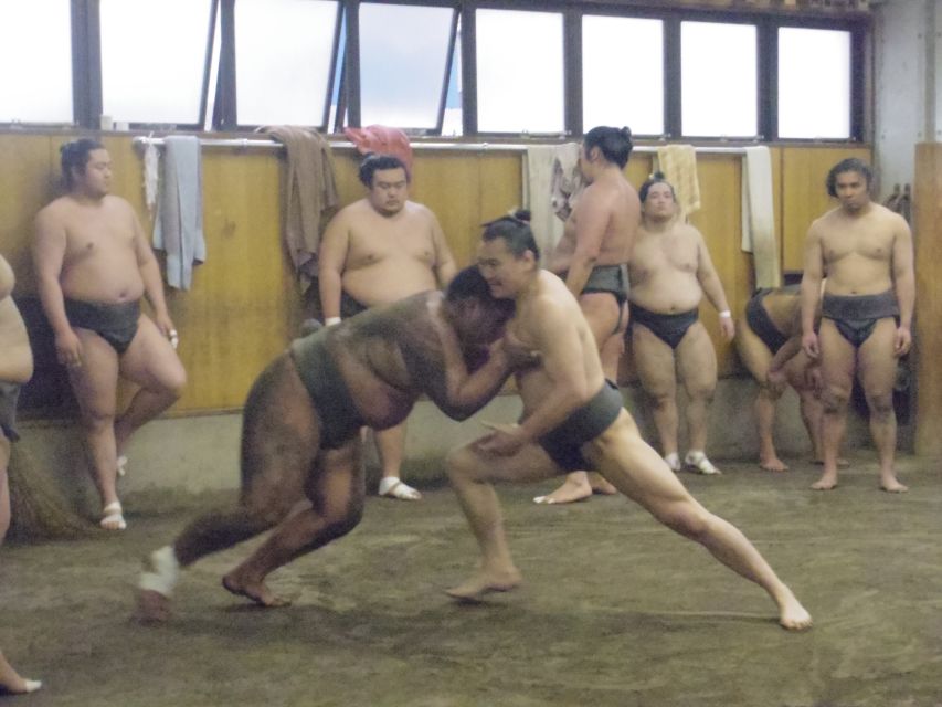 Tokyo: Sumo Morning Practice Viewing Tour - Who will enjoy this most