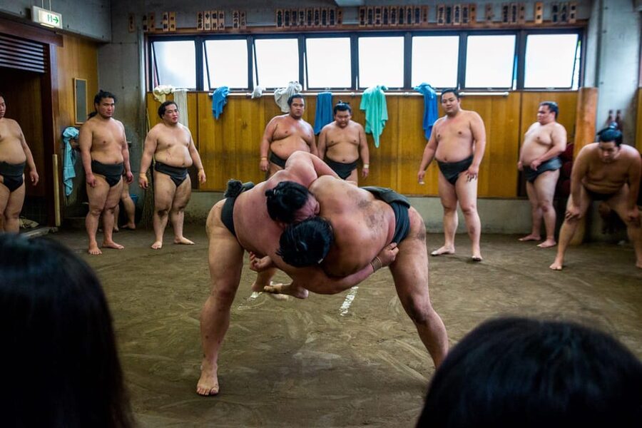 Tokyo: Sumo Morning Practice Viewing Tour - Why a morning stable visit feels different