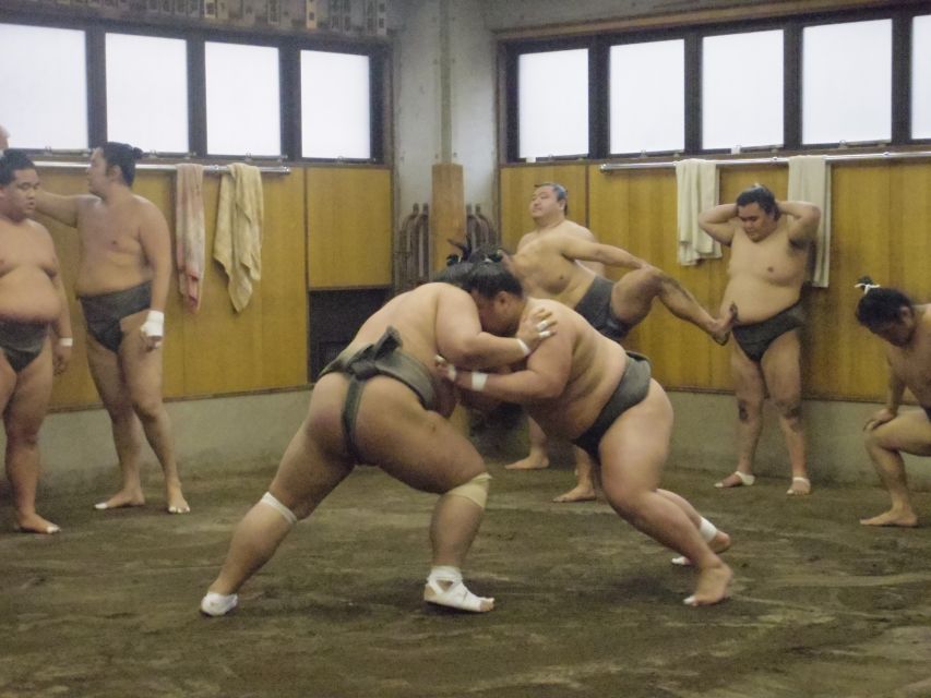 Tokyo: Sumo Morning Practice Viewing Tour - Entering a real stable