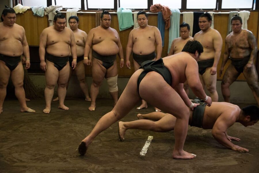 Tokyo: Sumo Morning Practice Viewing Tour - Watching 60 to 90 minutes of hard training