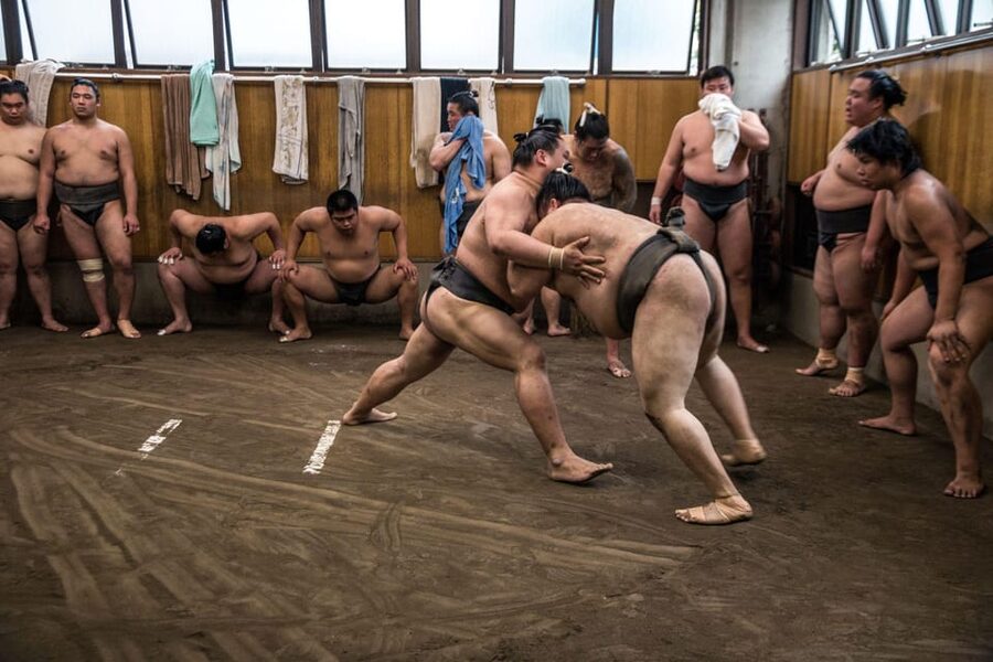 Tokyo: Sumo Morning Practice Viewing Tour - Price, timing, and overall value