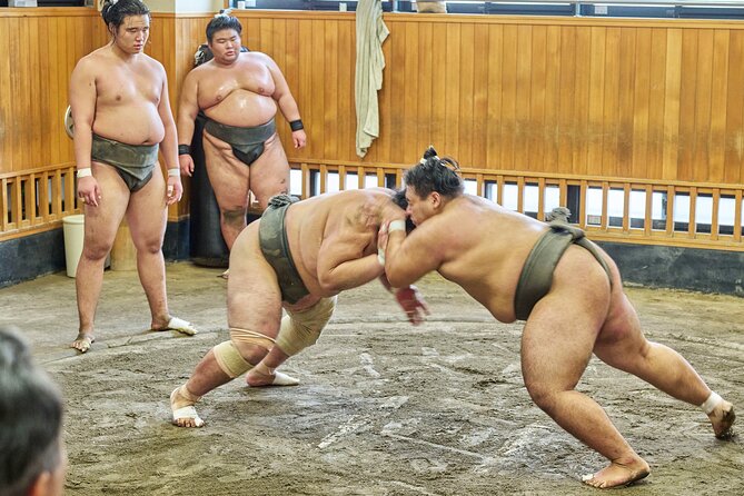 Tokyo: Sumo Morning Practice Viewing Tour at a Real Stable - Why this sumo visit feels different from a tournament