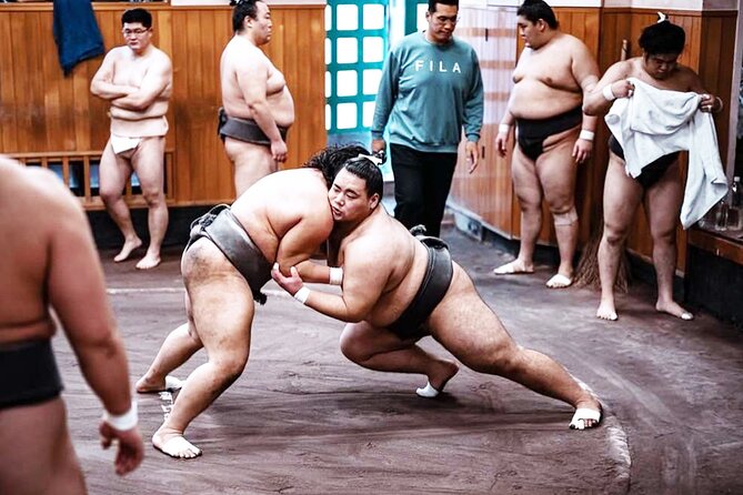 Tokyo: Sumo Morning Practice Viewing Tour at a Real Stable - How close contact changes your view of sumo