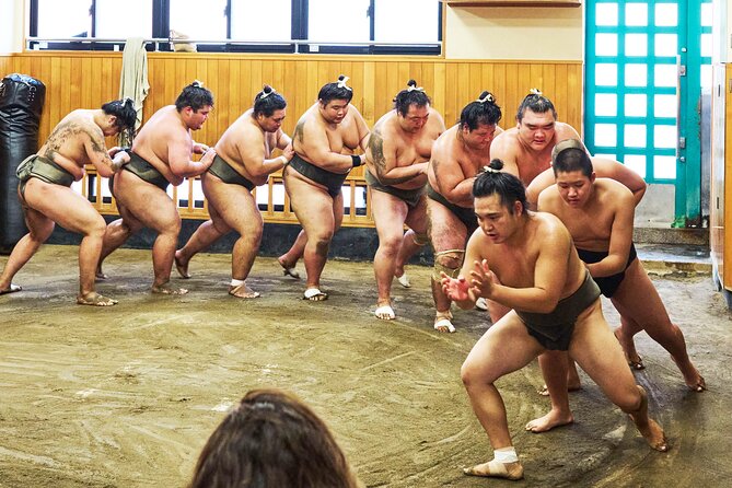 Tokyo: Sumo Morning Practice Viewing Tour at a Real Stable - Group size, guides, and the pace of the morning