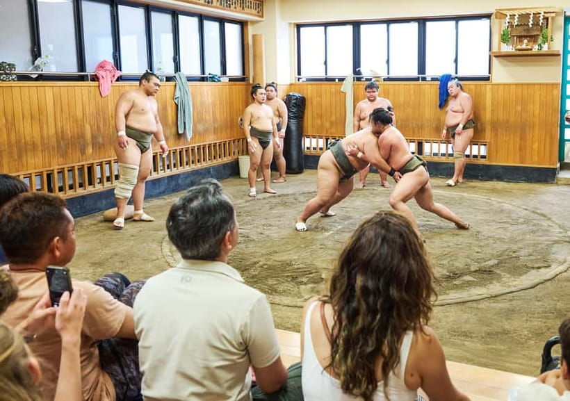Tokyo: Sumo Morning Practice Viewing Tour at a Real Stable - Is $98 a fair price?