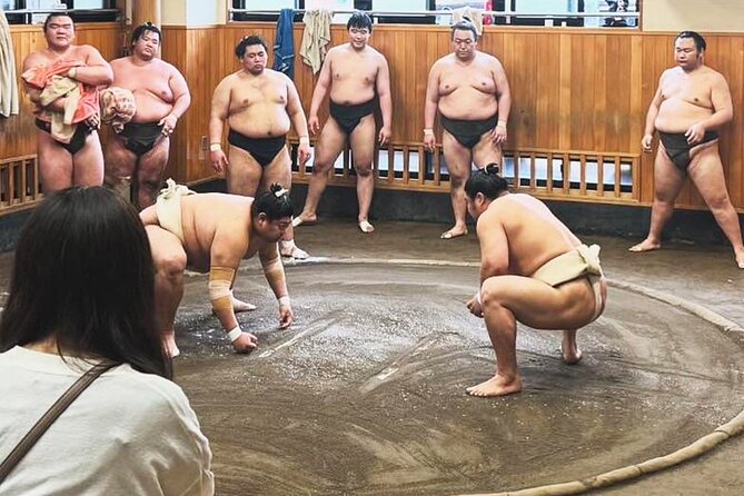 Tokyo: Sumo Morning Practice Viewing Tour at a Real Stable - Meeting at Kiyosumi-Shirakawa Station
