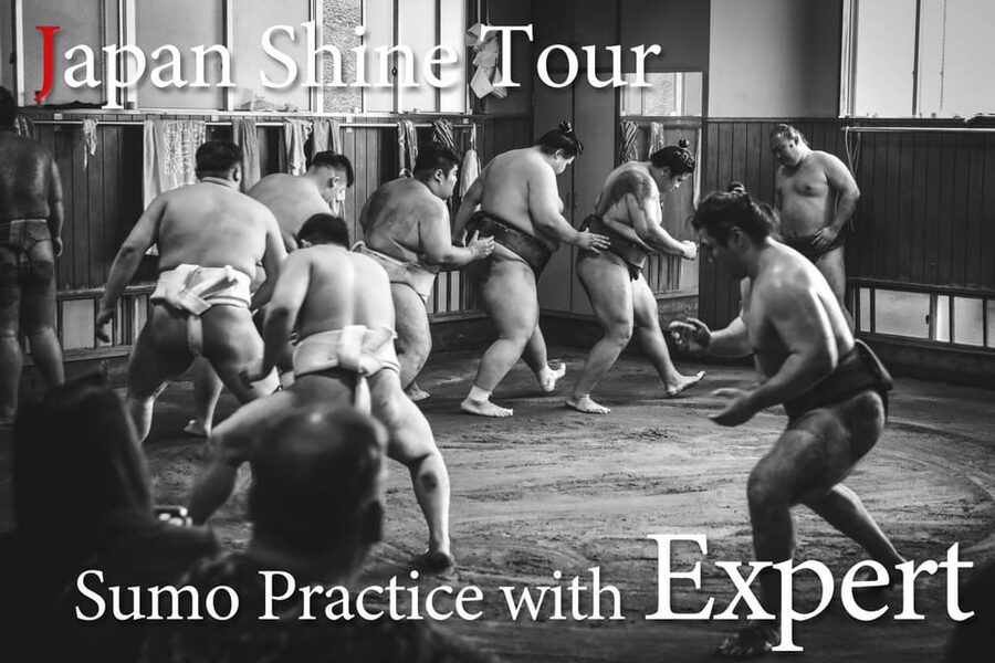 Tokyo: Sumo Morning Practice with journalists. Not fake show - Key points to know before booking