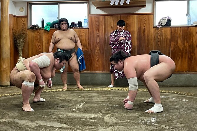 Tokyo Sumo Morning Training/ Sumo Practice with Wrestlers - Who will enjoy this most