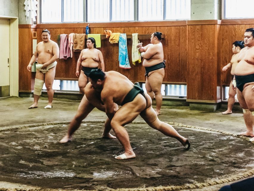 Tokyo: Sumo Morning Training Visit - How much explanation will you receive?