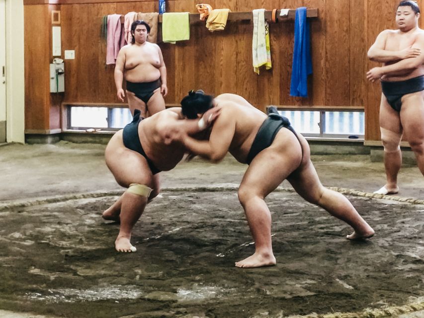 Tokyo: Sumo Morning Training Visit - What the morning training actually looks like