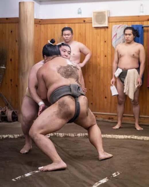 Tokyo: Sumo Show and Experience in Shinjuku - Inside the 90-minute program
