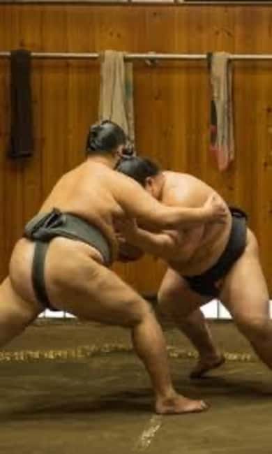Tokyo: Sumo Show and Experience in Shinjuku - Why the explanations make a difference