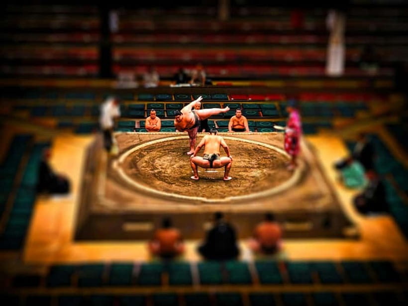 Tokyo: Sumo Tournament with Guide & Assigned Reserved Seat - What you will notice during the matches