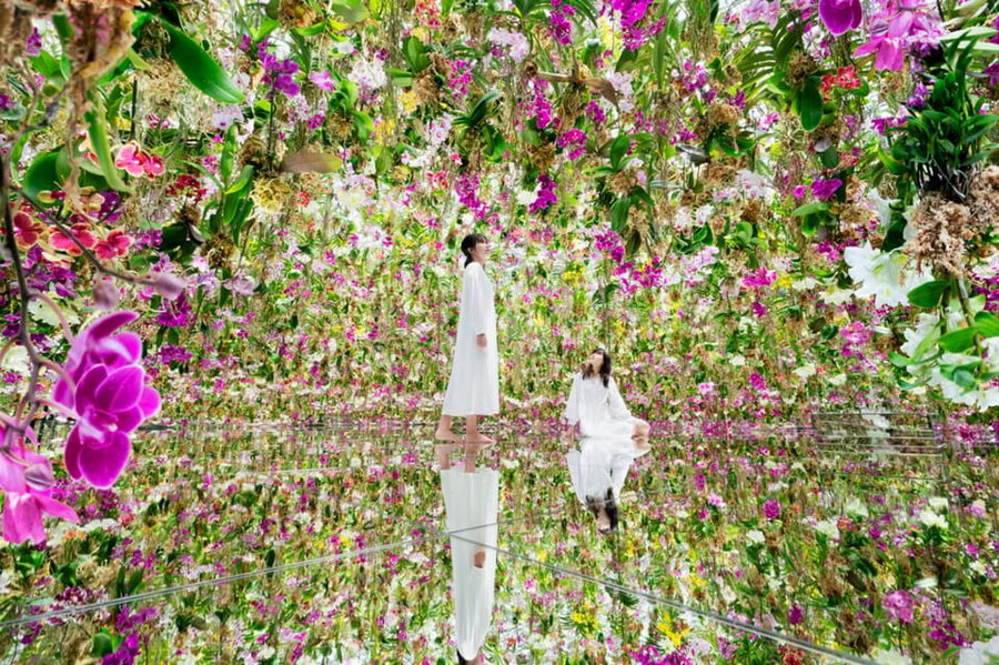 Tokyo: teamLab Planets TOKYO Digital Art Museum Entry Ticket - Key points to know before you go