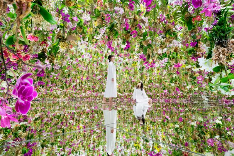 Tokyo: teamLab Planets TOKYO Digital Art Museum Entry Ticket - The Water Gallery and digital fish