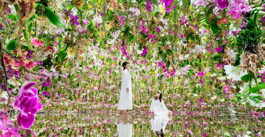 Tokyo: teamLab Planets TOKYO Digital Art Museum Entry Ticket - Flower rooms, falling petals, and the garden