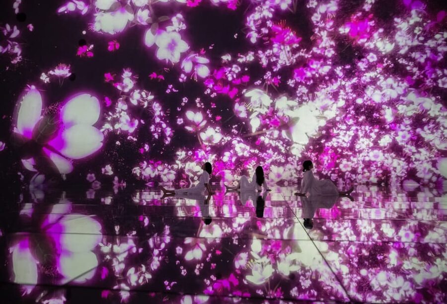 Tokyo: teamLab Planets TOKYO Digital Art Museum Entry Ticket - Light, sound, and the five-sense format