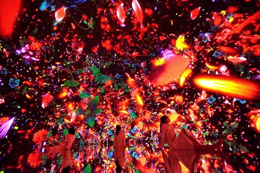 Tokyo: teamLab Planets TOKYO Digital Art Museum Entry Ticket - Price, queues, and overall value