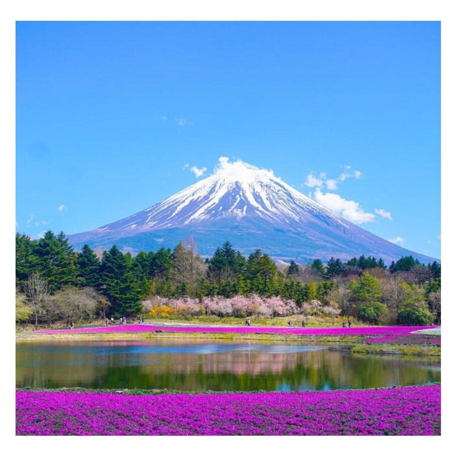 “Tokyo to Mt. Fuji & Hakone: Private Customizable Day Trip” - What the driver-guide adds
