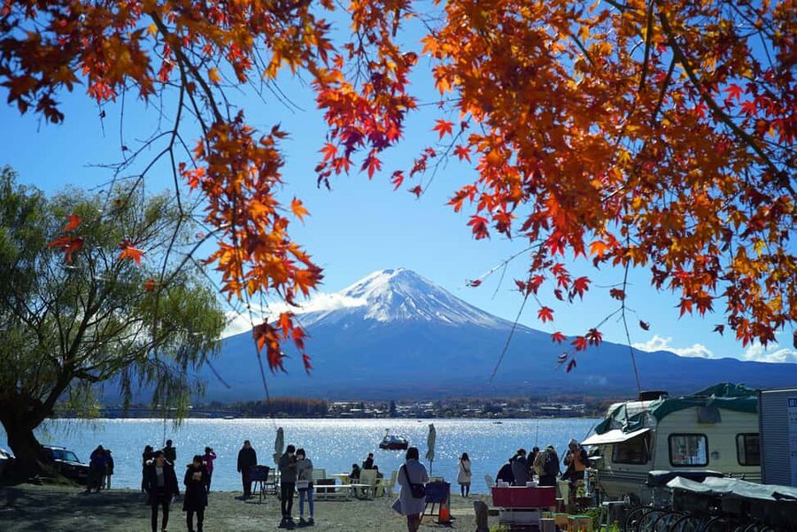 “Tokyo to Mt. Fuji & Hakone: Private Customizable Day Trip” - Lake Kawaguchiko, Oshino Hakkai, and Fuji Five Lakes scenery