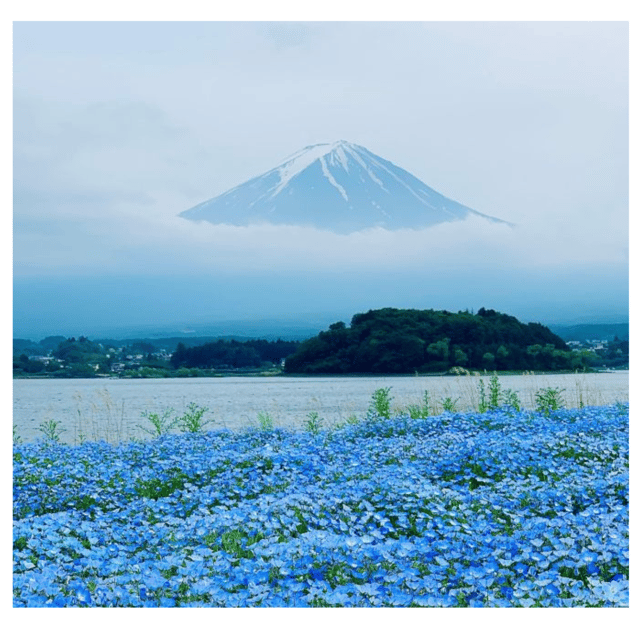 “Tokyo to Mt. Fuji & Hakone: Private Customizable Day Trip” - Lunch, tickets, and the small costs that add up