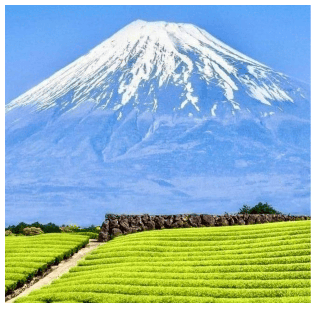 “Tokyo to Mt. Fuji & Hakone: Private Customizable Day Trip” - Starting from Tokyo: comfort has a real price