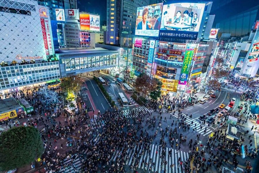 Tokyo: Tokyo Private Day Tour With Guide - Tokyo Skytree: the view costs extra