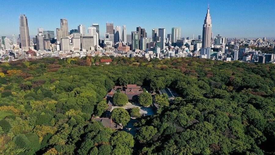 Tokyo: Tokyo Private Day Tour With Guide - Meiji Shrine: forest, torii, and quiet